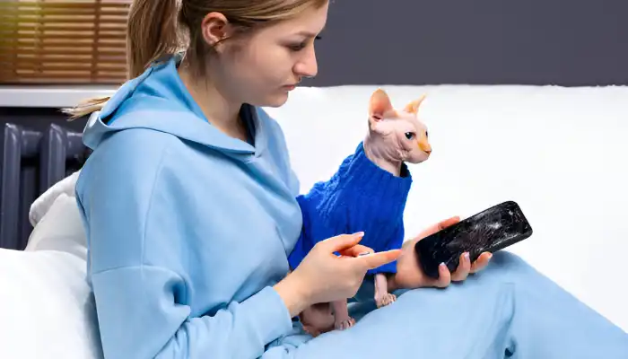 Cat Translator App Understand Your Cat Cat Translator App: Understand Your Cat