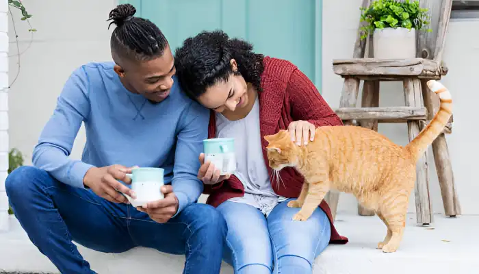 How Cats Communicate What Does a Meow Mean How Cats Communicate What Does a Meow Mean