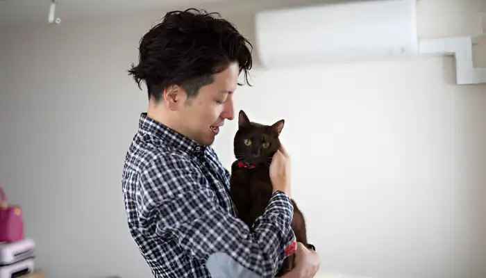 How Do You Say I Love You In Cat Language