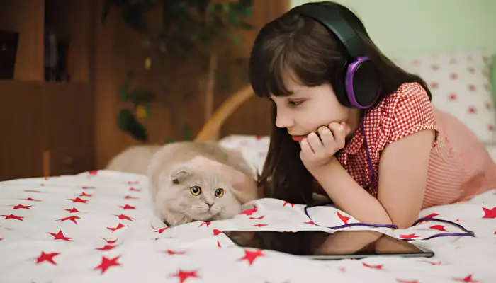 How to Use the Cat Translator App