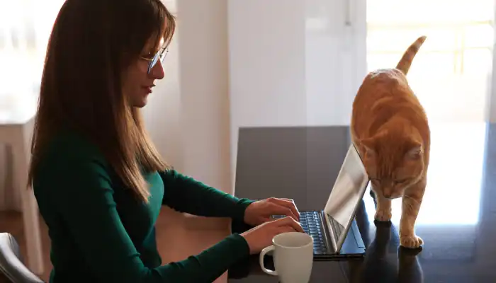 Best Human to Cat Translator Apps of 2025 Best Human to Cat Translator Apps of 2025