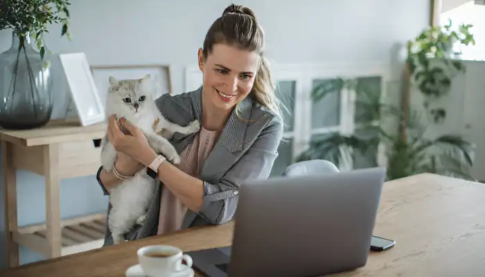 How Do Human to Cat Translators Work? How Do Human to Cat Translators Work?